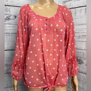 NWT Nine West Vintage America Pink Chiffon Polka Dot Blouse Shirt S Embroidered